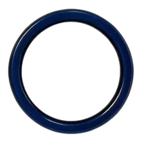 NIST CSF